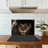Leeuw - Dieren - Zwart - Portret keuken achterwand spatscherm klein -sfeer2