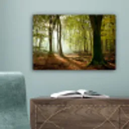 Bos - Zon - Seizoenen - Landschap canvas 2cm klein -sfeer4