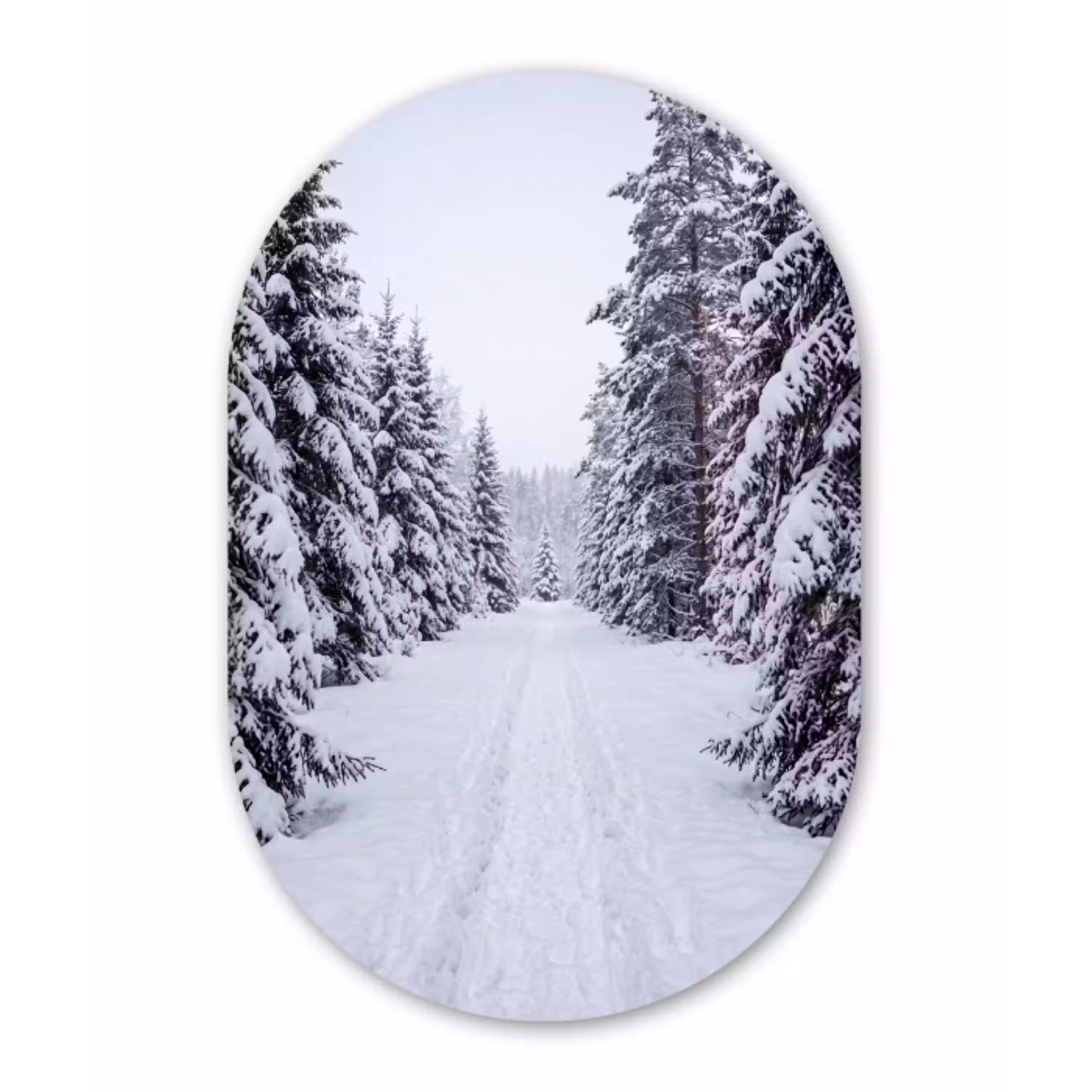 Bos - Winter - Sneeuw - Pad - Natuur Wandcirkel Ovaal Aluminium middel -3d