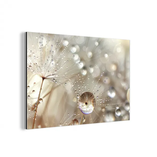 Natuur - Bloemen - Druppels - Regen aluminium wit klein -3d
