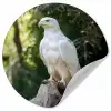 Arend - Hout - Wit - Planten Wandcirkel behangsticker klein -3d