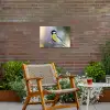Koolmees op een Tak Tuinposter op houten frame 2 cm dik klein -sfeer3
