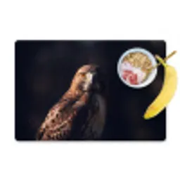 Roofvogel - Buizerd - Bruin Placemat vinyl groot -zzzproduct_Kitchenyeah-website