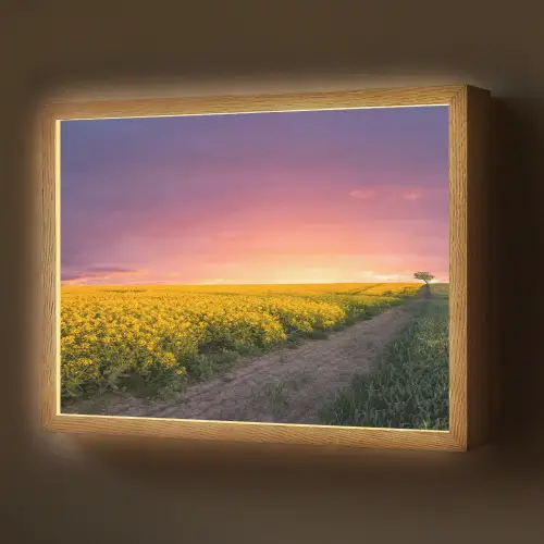 Bloemen - Weg - Lucht - Geel - Paars - Zonsondergang - Natuur Light Box met batterij (Wandlamp) middel -z3d_website