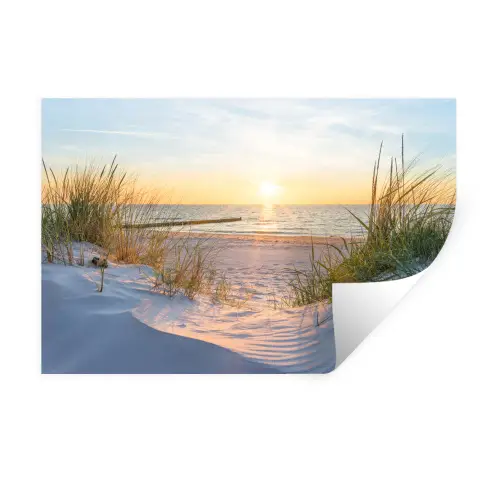Strand - Zon - Duin - Gras - Zand - Horizon Muursticker klein -3d