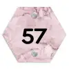 Roze marmer - Traditioneel Naambord Hexagon klein -3d