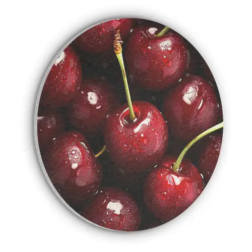 Rood - Fruit - Kersen Akoestische PET Vilt - Rond klein -3d