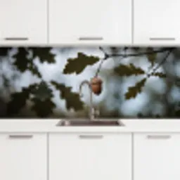 Eikel - Eikenblad - Bos - Herfst - Natuur keuken achterwand 2 middel -3d