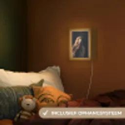 Roofvogel - Buizerd - Bruin Light Box met kabel (Kinderlampje) klein -sfeer5_kind