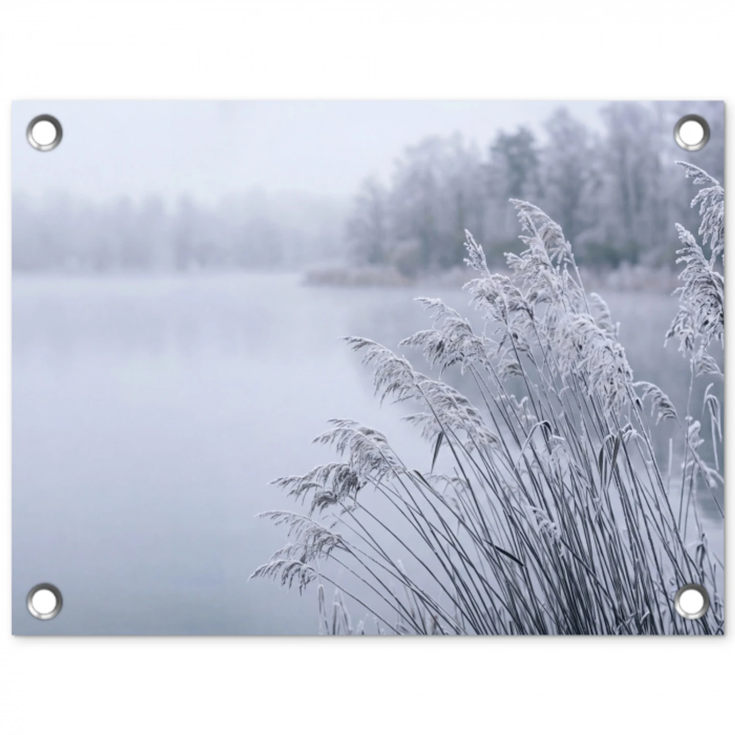 Riet - Bevroren - Winter - Natuur tuinposter los doek klein -3d