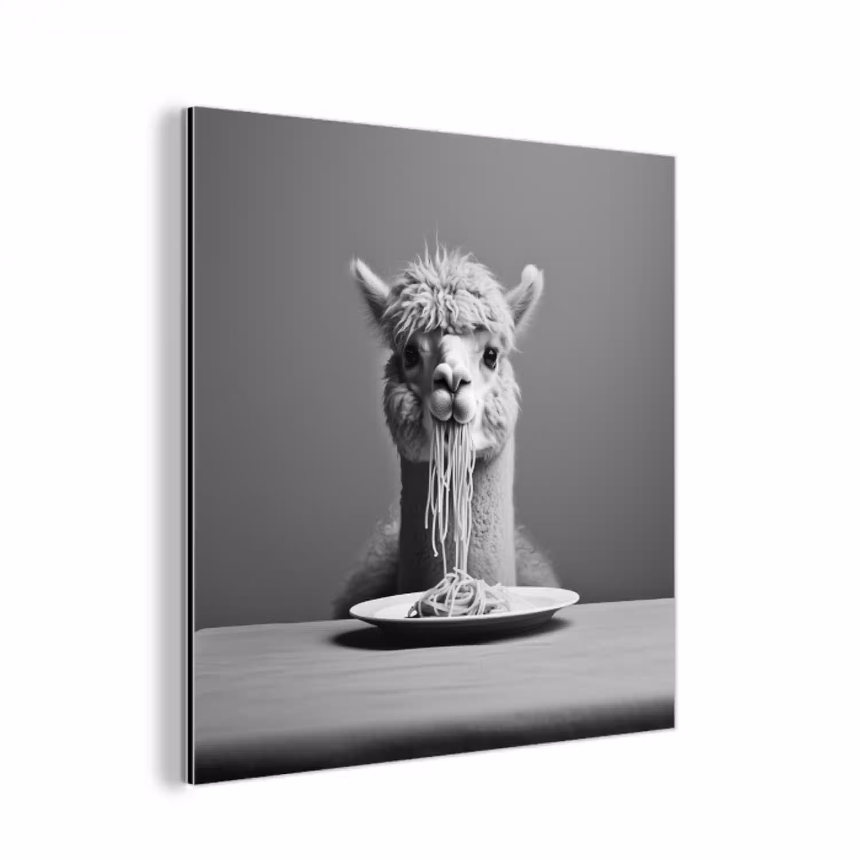 Alpaca - Pasta - Zwart - Wit - Grappig - Dieren aluminium wit klein -3d
