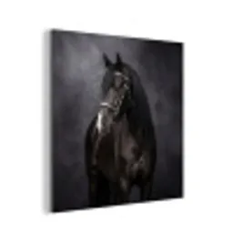 Portret - Paard - Zwart aluminium wit klein -3d