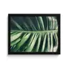 Inductie beschermer - Bananenblad - Tropisch - Jungle - Bladeren fotolijst zwart zonder passe partout klein -3d