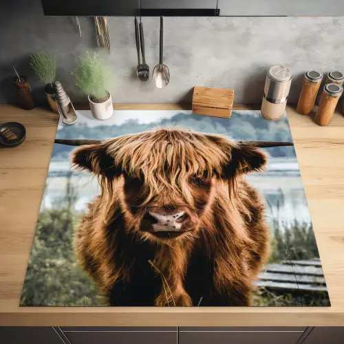 Koeien - Schotse hooglander - Bruin - Natuur Inductie beschermer vinyl 3mm middel -sfeer5