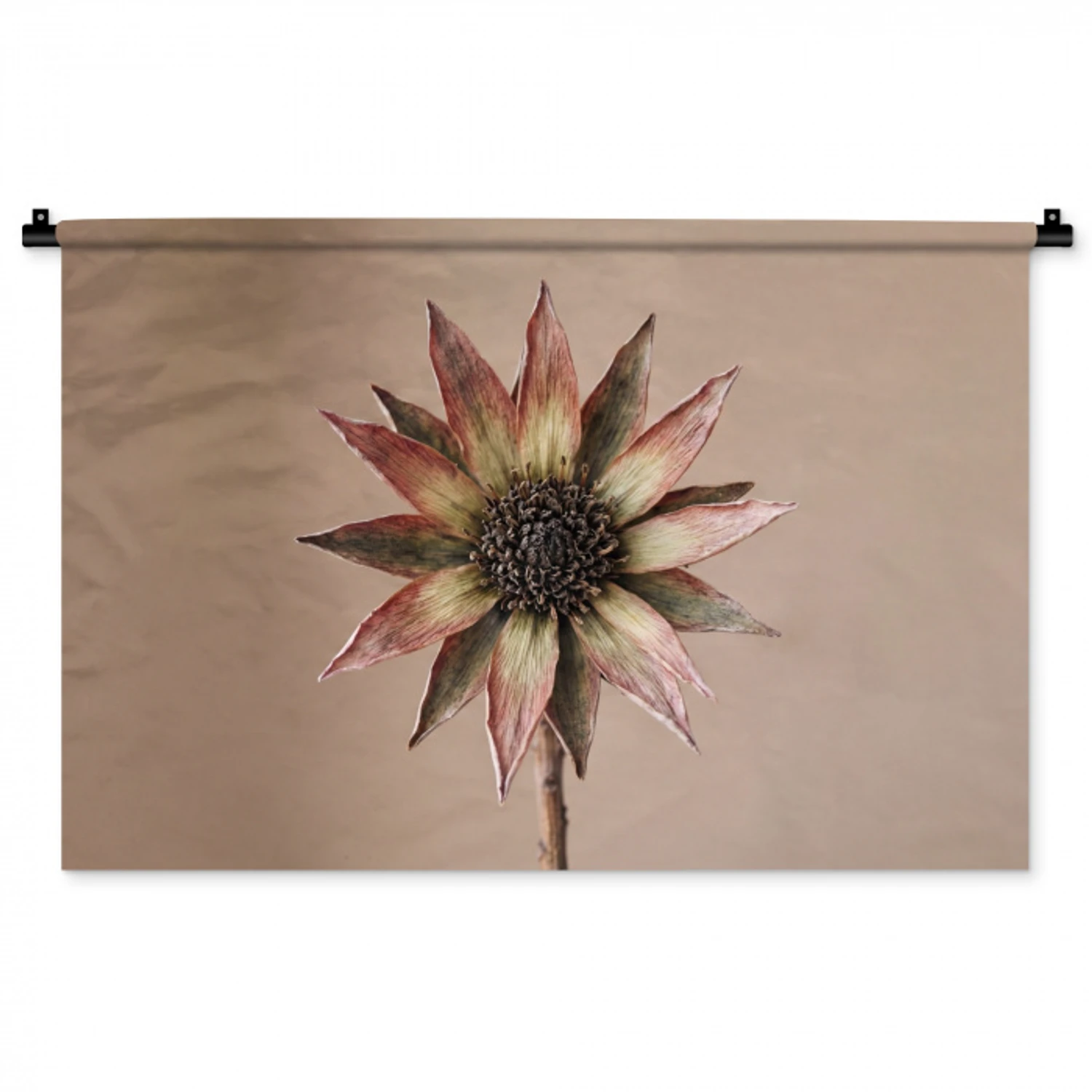 Droogbloem - Protea - Vintage - Beige - Rustiek Wandkleed katoen middel -zz3d