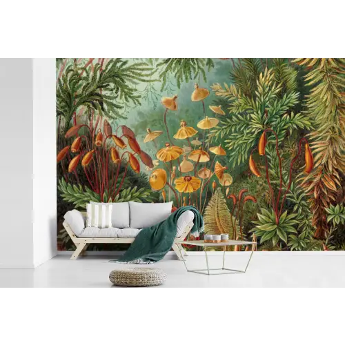 Design - Natuur - Paddenstoelen - Ernst Haeckel fotobehang vinyl groot -woonkamer