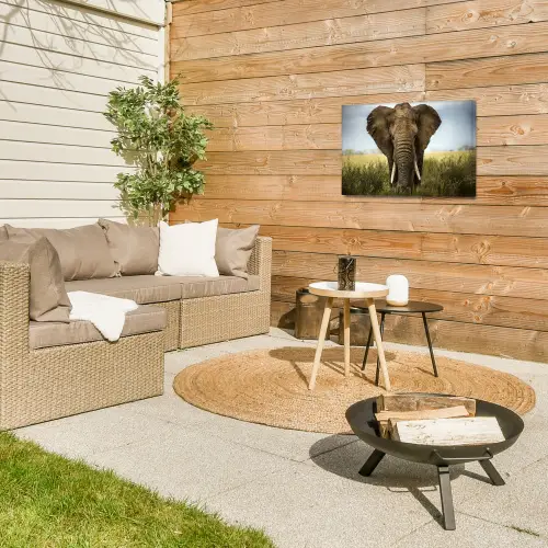 Olifant - Natuur - Gras - Dieren - Landschap Tuinposter op houten frame 2 cm dik klein -sfeer2