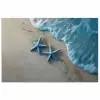 Zeesterren - Zand - Zee - Blauw poster papier klein -3d