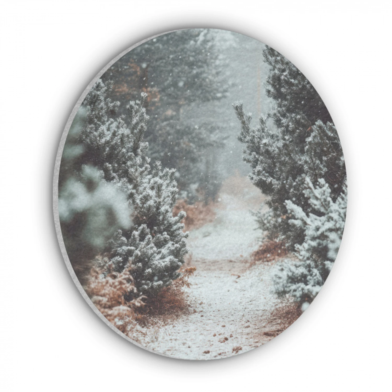 Bos - Winter - Bomen - Natuur - Pad - Sneeuw Akoestische PET Vilt - Rond klein -3d