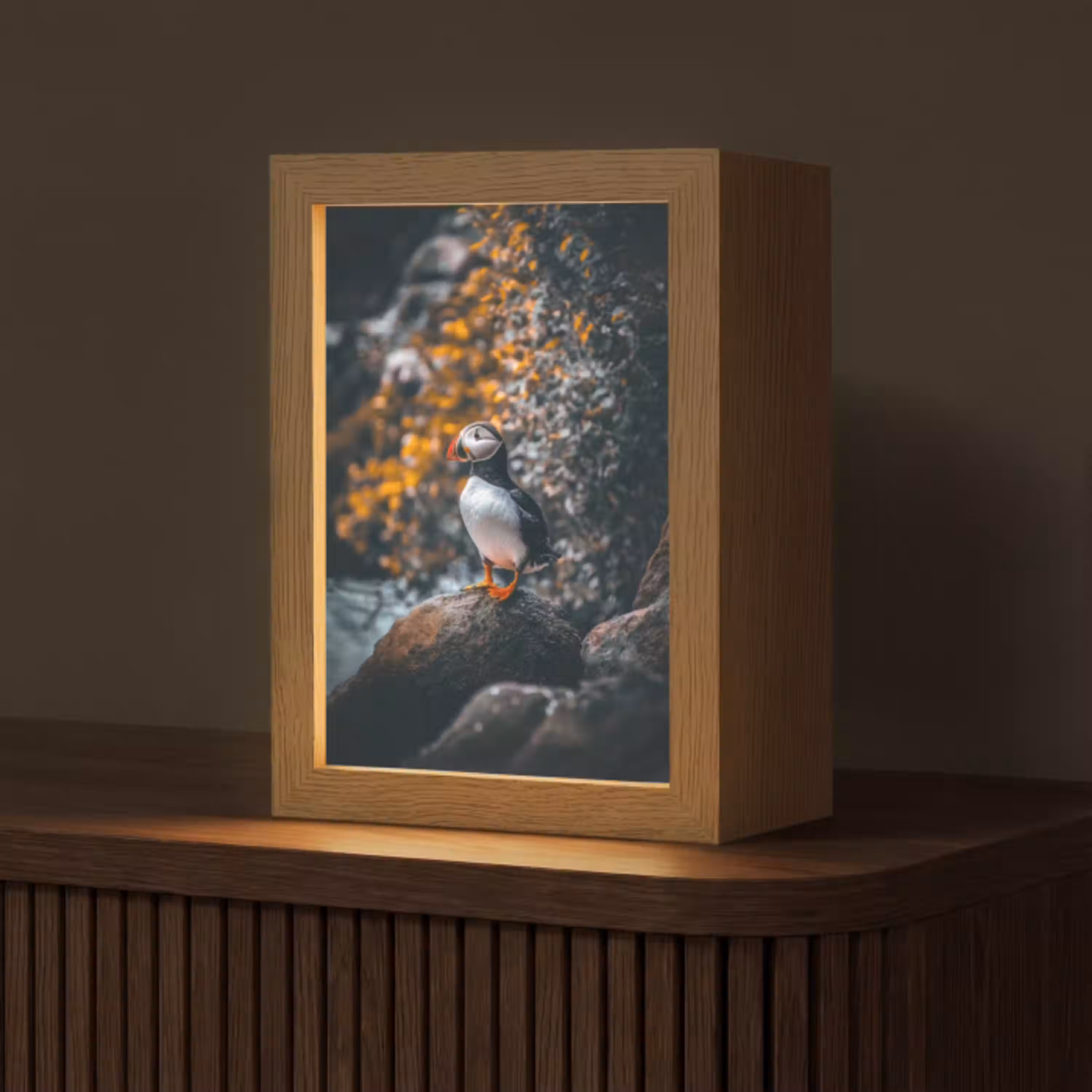 Papegaai - Vogel - Rots - Wit Light Box met kabel (Tafellamp) klein -z3d_website