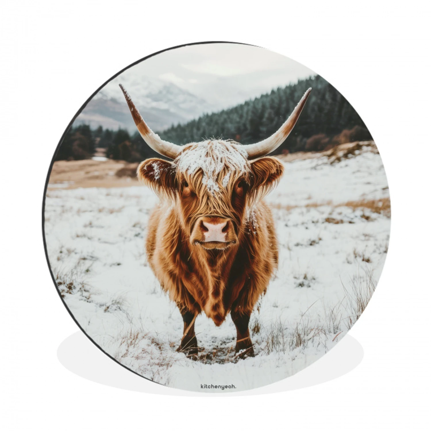 Schotse Hooglander - Sneeuw - Winter - Dieren Wandcirkel aluminium klein -3d