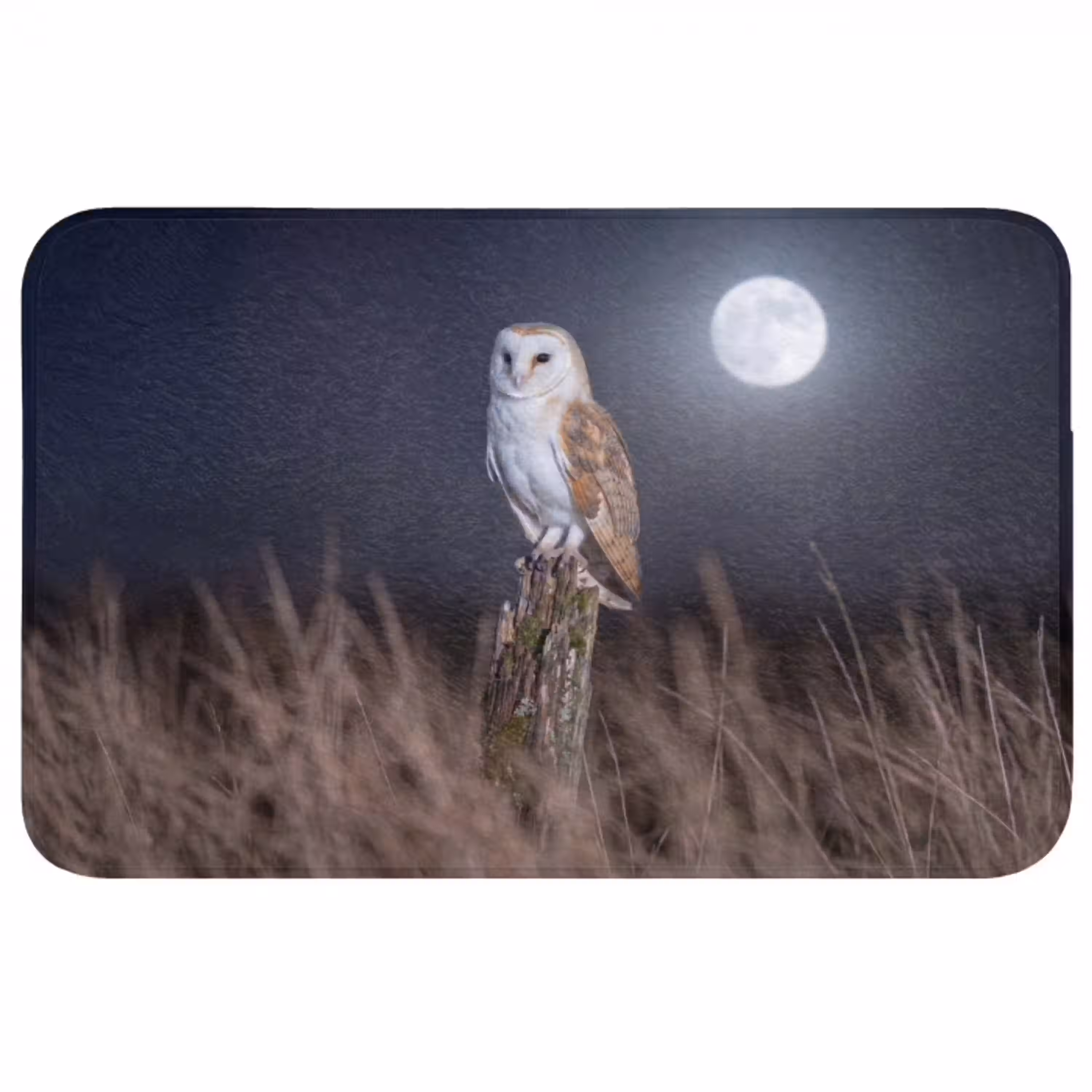 Kerkuil - Maan - Nacht Badmat middel -3d