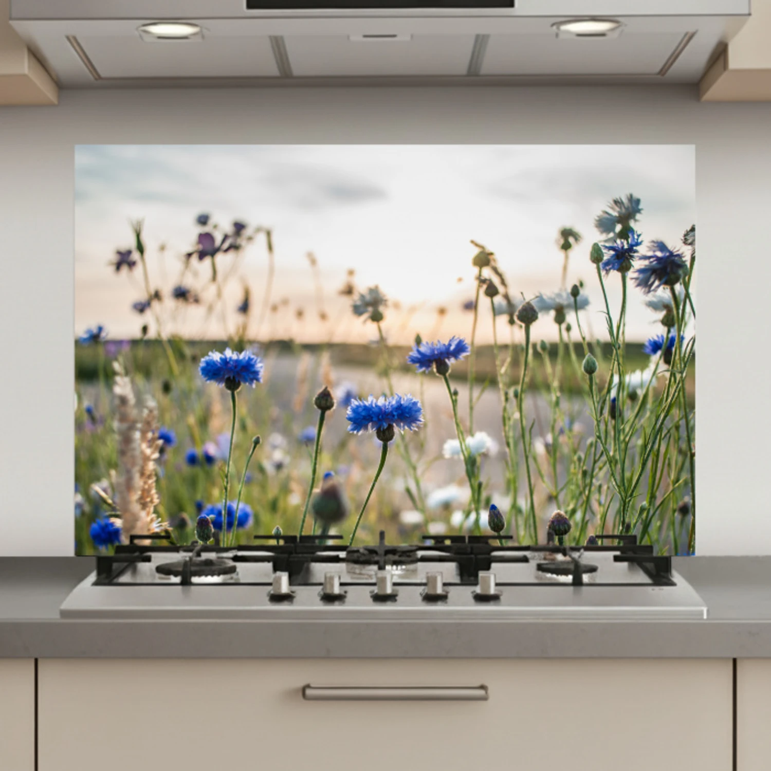 Bloemen - Zomer - Korenbloem - Blauw - Zon - Wolken keuken achterwand spatscherm klein -3d_website