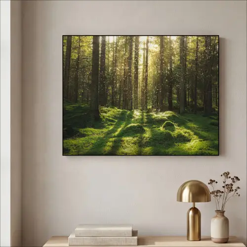 Bomen - Bos - Mos - Planten - Zon - Natuur Textielframe zwart klein -sfeer2