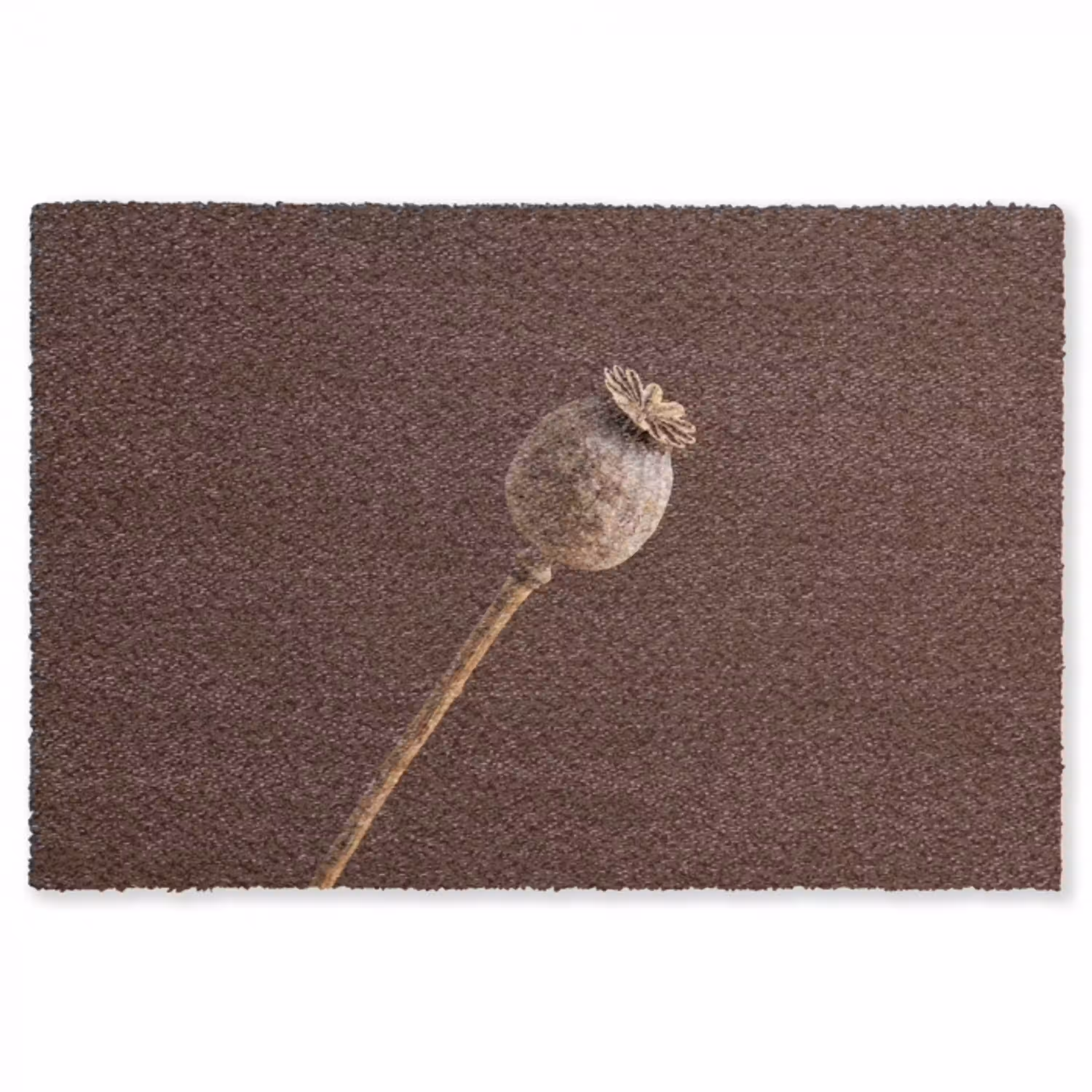 Papaverbol - Droogbloem - Bruin - Minimalistisch Vloerkleed Rechthoek klein -3d