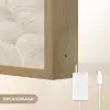 Lijnen - Waaier - Beige Light Box met batterij (Wandlamp) middel 907 -USP_websiteoplaadbaarNL