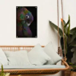 Papegaai - Vogel - Regenboog tuinposter los doek klein -sfeer7