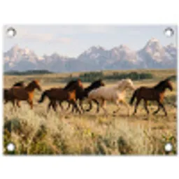 Paarden - Kudde - Bergen - Vrijheid - Wild tuinposter los doek klein -3d