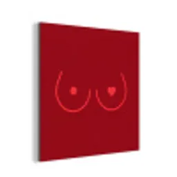 Minimalistisch - Lijnillustratie - Rood aluminium wit klein -3d