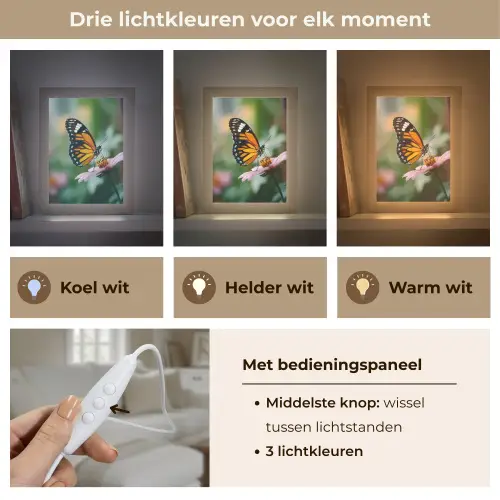 Roze bloemen - Vlinder - Zachte focus Light Box met kabel (Tafellamp) klein -USP_lichtkleurNL