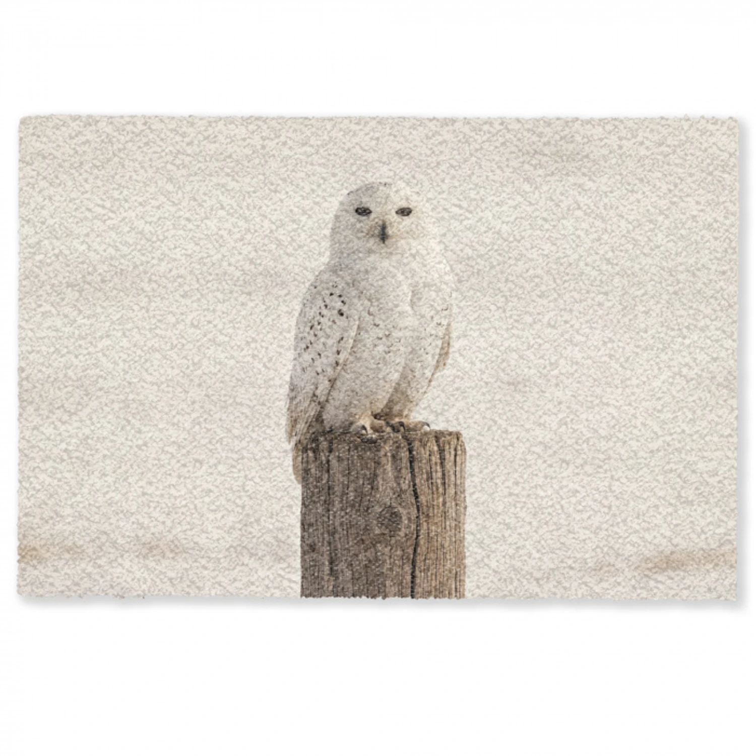 Sneeuwuil - Paal - Winter - Portret - Majestueus Deurmat klein -zkaufland3d