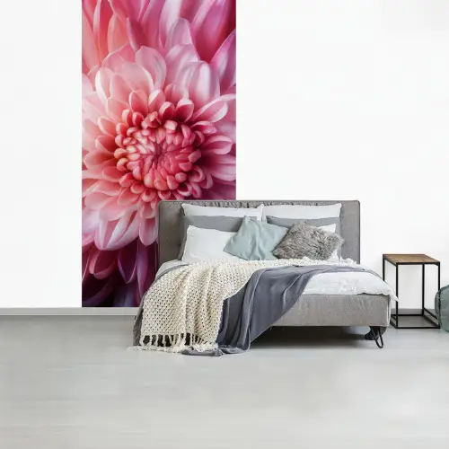 Dahlia - Bloem - Close up - Roze fotobehang vinyl groot -slaapkamer