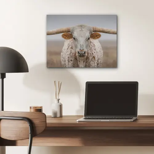 Longhorn - Grasveld - Dier PET vilt klein -sfeer5