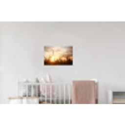 Riet - Gras - Zonsondergang - Natuur - Horizon Muursticker klein -kinderkamer