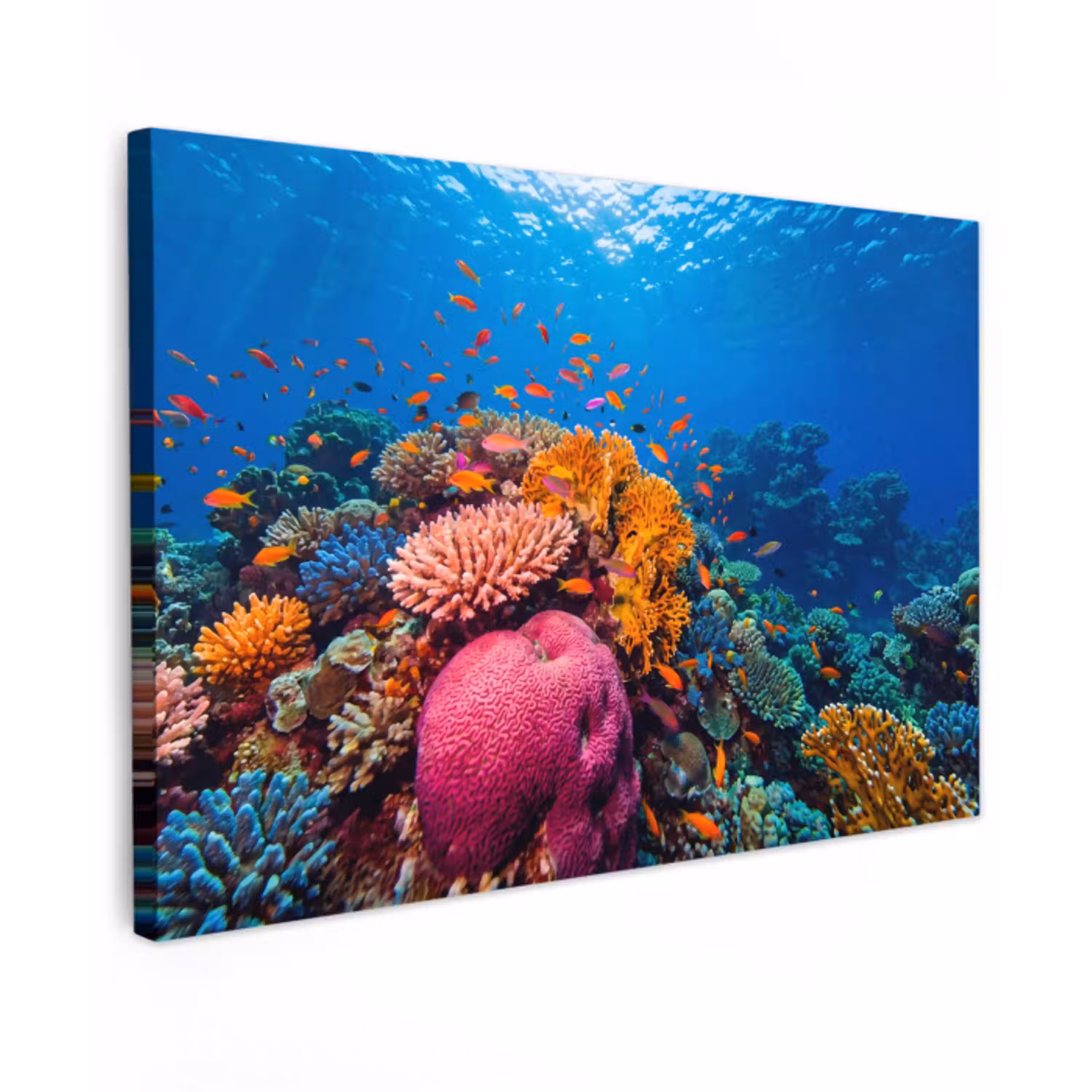 Koraal - Vissen - Oceaan - Natuur - Kleurrijk canvas 2cm klein -z3d