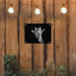 Giraffe - Dier - Zwart - Wit tuinposter los doek klein -sfeer1