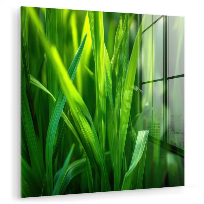 Grassprieten - Lichtinval - Groen plexiglas 5mm klein -zzzproduct_nieuw