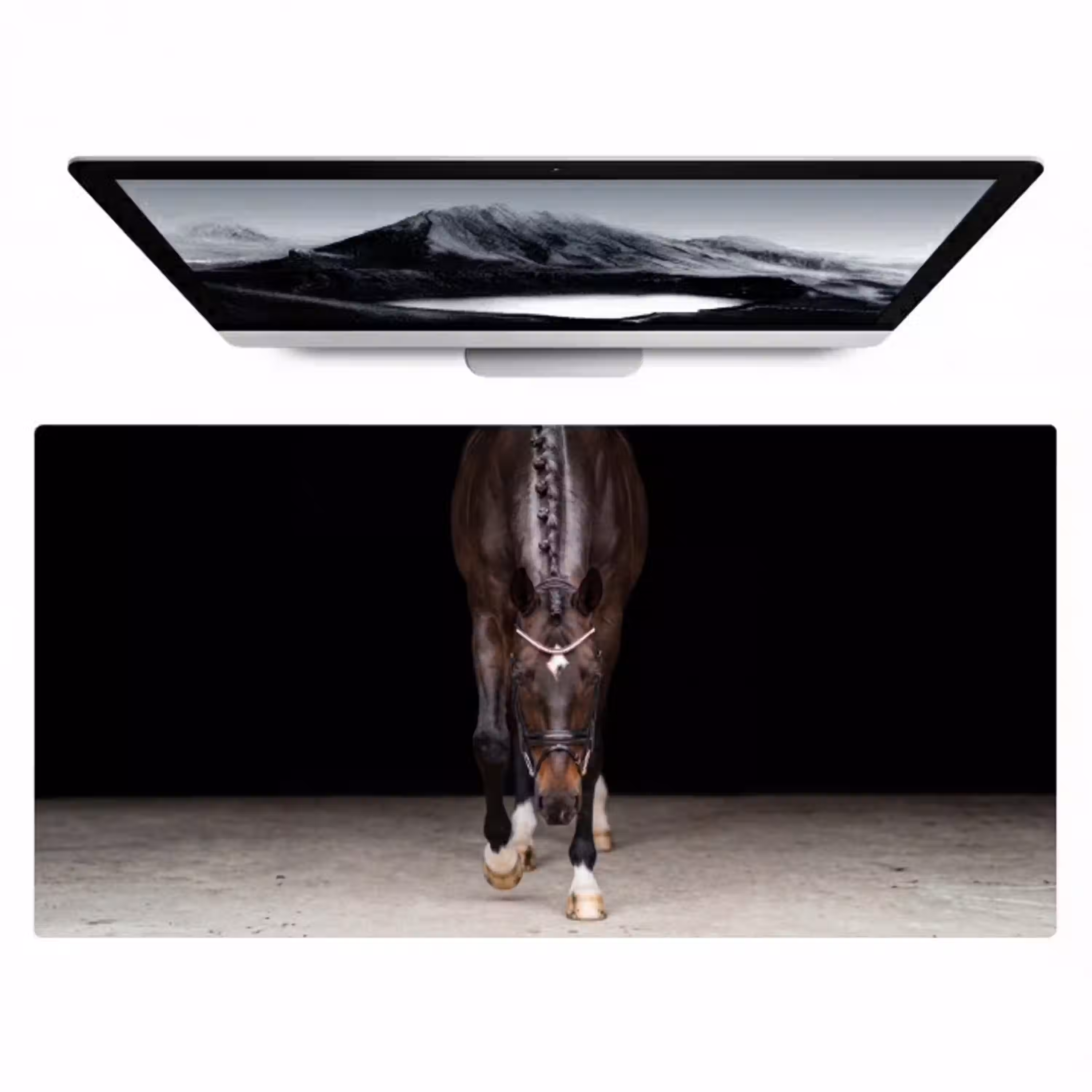 Paard - Modern - Portret Muismat XXL klein -zzz3d