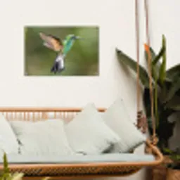 Kolibrie - Vogels - Veren tuinposter los doek klein -sfeer7
