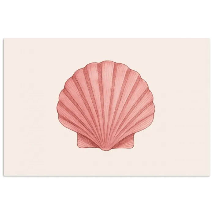 Schelp - Roze - Ribbels poster papier klein -3d