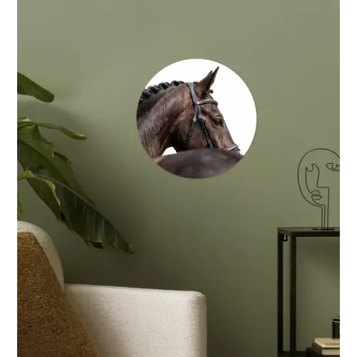 Portret - Paard - Elegant Wandcirkel behangsticker klein -sfeer2