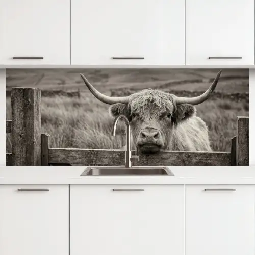 Schotse hooglander - Zwart - Wit - Hout keuken achterwand 2 middel -3d
