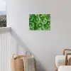 Kiwi - Groen - Pitten tuinposter los doek klein -sfeer8