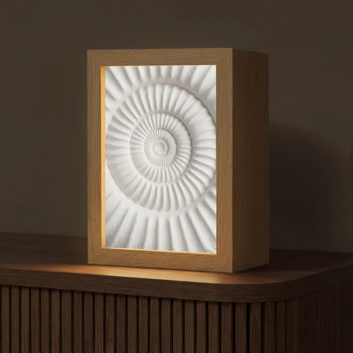 Schelp - Spiraal - Wit Light Box met kabel (Tafellamp) klein -z3d_website