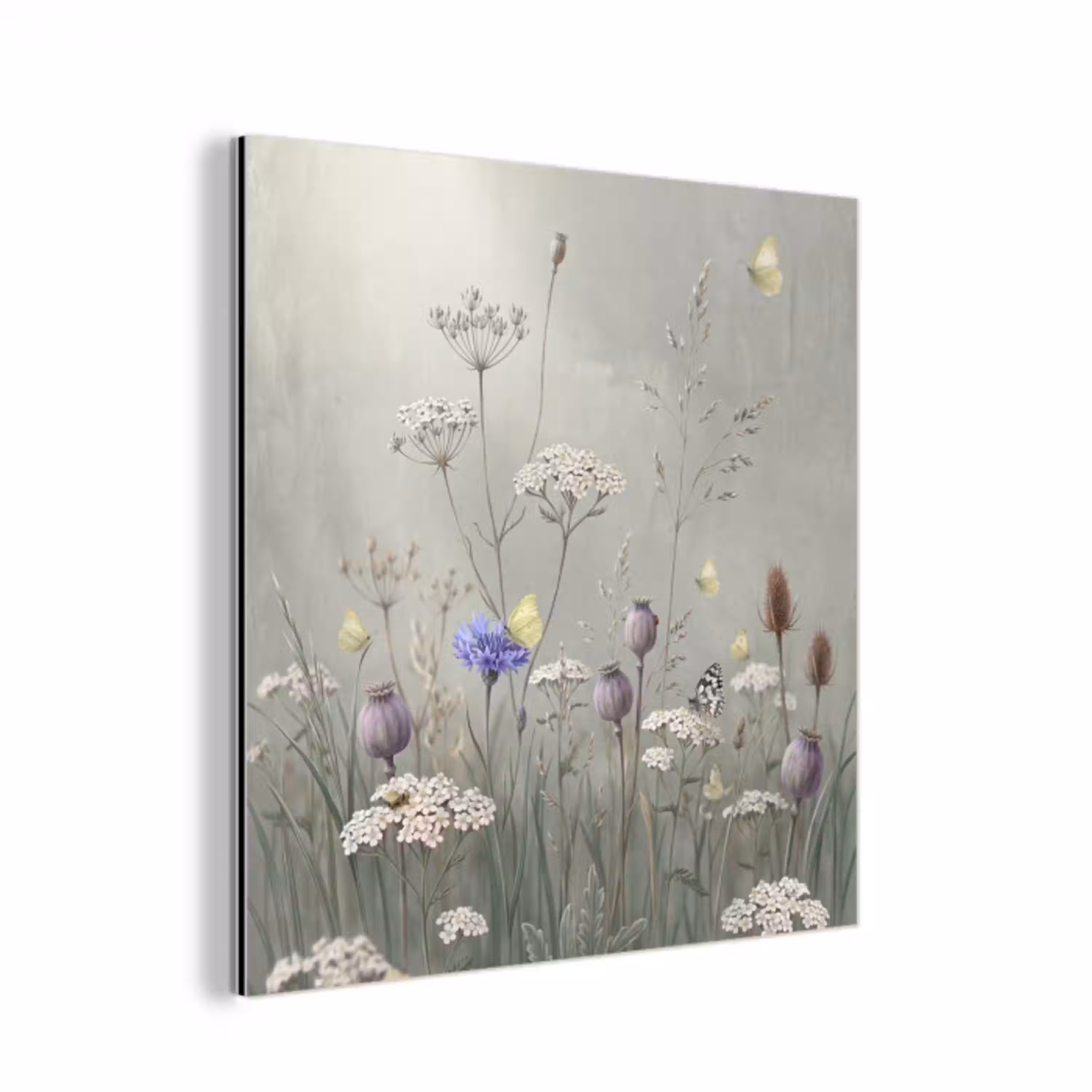 Vlinders - Wildbloemen - Illustratie - Kleurrijk aluminium wit klein -3d