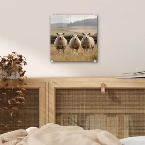 Schapen - Weidenlandschap - Heuvels plexiglas 5mm klein -sfeer4